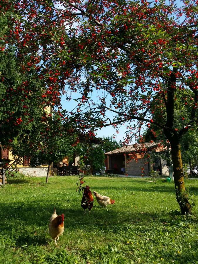Bed and Breakfast R&B Albero Cavo Parma Zewnętrze zdjęcie