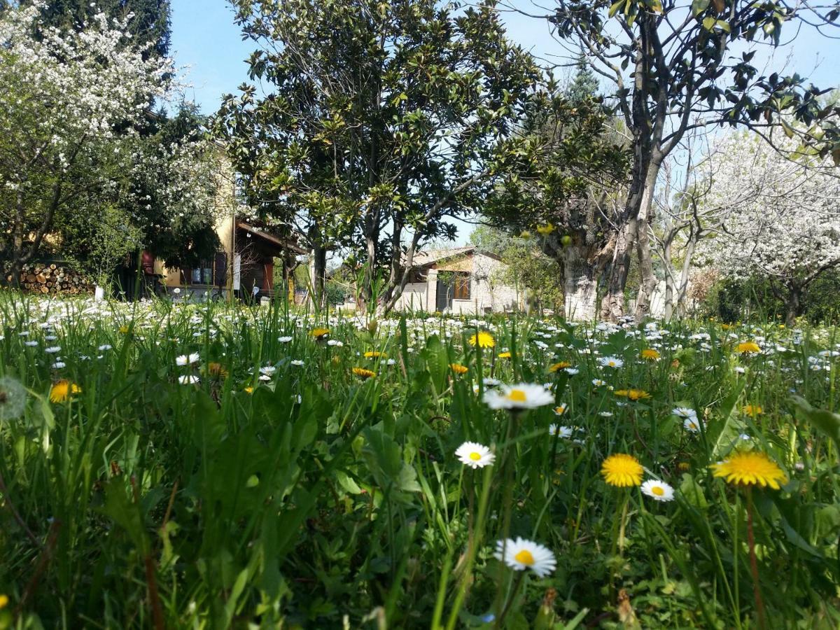 Bed and Breakfast R&B Albero Cavo Parma Zewnętrze zdjęcie