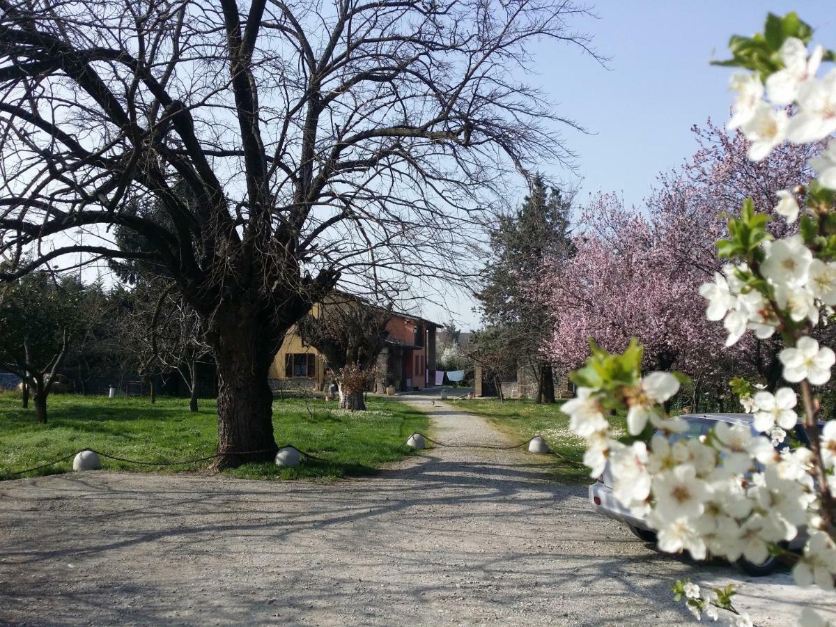 Bed and Breakfast R&B Albero Cavo Parma Zewnętrze zdjęcie